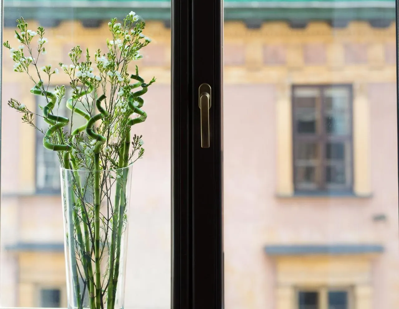 Tango House Bed & Breakfast Bed & Breakfast Krakow